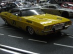 IMG_6504.JPG